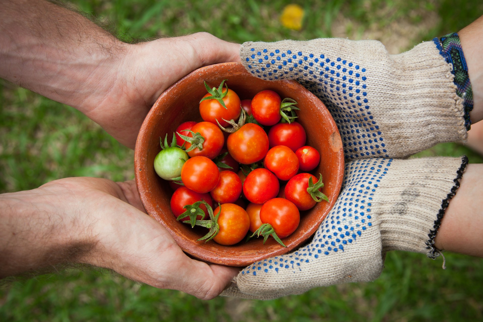 Fresh local produce from nearby farms promoting sustainable agriculture.